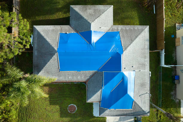 Best Emergency Roof Repair Services  in Tyler, MN