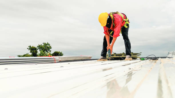 Best Storm Damage Roof Repair  in Tyler, MN