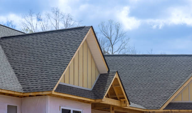 Best Roof Leak Repair  in Tyler, MN